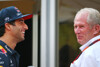 Foto zur News: Keine Chance für Ferrari: Ricciardo bis 2018 unter Vertrag