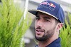 Foto zur News: Ricciardo hofft: Verlieren auf den Geraden keine 1,2