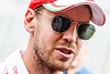 Foto zur News: Vettel: Hockenheim-Siegerpokal fehlt im Wohnzimmer