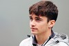 Foto zur News: Freitagstester Leclerc muss Haas für Abu Dhabi absagen