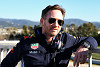 Foto zur News: Red-Bull-Teamchef macht sich über Lewis Hamilton lustig
