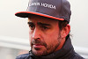 Foto zur News: Zak Brown: Fernando Alonso fühlt sich bei McLaren wohl