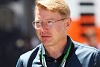 Foto zur News: Häkkinen: Alonso-Sieg bei Indy 500 würde nicht überraschen