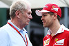 Foto zur News: Marko: Sebastian Vettel braucht die Karotte vor der Nase