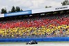 Foto zur News: Chase Carey will Deutschland-GP sichern und Schumi ehren