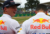 Foto zur News: Max Verstappen: Noch ein Gespräch mit Daniel Ricciardo?