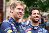 Foto zur News: Ricciardo: Verstappen ist ein härterer Teamkollege als