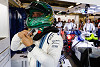 Foto zur News: Massa: In der Formel 1 kommt es nicht immer auf das Talent