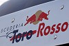Foto zur News: Highlights des Tages: Vorgeschmack auf Toro-Rosso-Honda
