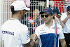 Foto zur News: Massa: Hamilton bei Mercedes ab sofort klarer Nummer-1-Pilot