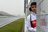 Foto zur News: Ericsson zeigt Respekt vor Leclerc, aber: &quot;Kann ihn