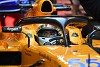 Foto zur News: Carlos Sainz erwartet bei McLaren keinen Nummer-1-Status