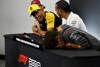 Foto zur News: Schamhaar-Witz: Ricciardo beschert Norris Lachkrampf in der