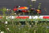 Formel-1-Liveticker: Red-Bull-Teamchef hält Rennen in Spielberg für 'machbar'