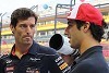 Foto zur News: Webber: Ricciardo hat noch keinen Fehler gemacht