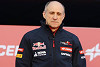 Foto zur News: Toro Rosso: Sauna statt Punkte für Kwjat