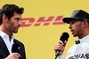 Foto zur News: Webber: Rosberg und Hamilton 2015 noch Teamkollegen?