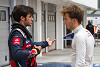Foto zur News: Toro Rosso sucht Piloten: Sainz, Gasly oder Lynn?