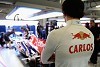 Foto zur News: Sainz jun. fordert Toro-Rosso-Cockpit: &quot;Bin logische Wahl&quot;
