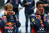 Foto zur News: Offiziell: Ricciardo und Vettel nach Qualifying