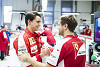 Foto zur News: Gutierrez: &quot;Kann viel von Räikkönen und Vettel lernen&quot;