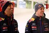 Foto zur News: Coulthard gespannt: Wie geht Ricciardo mit Niederlagen um?