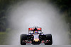Foto zur News: Reifeprüfung bei Toro Rosso: Verstappen besteht, Sainz patzt
