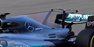 Foto zur News: Heckflosse und T-Flügel ab 2018 in der Formel 1 verboten