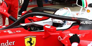 Foto zur News: Sebastian Vettel warnt: Noch offene Fragen bei Halo