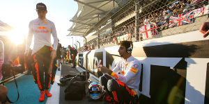 Foto zur News: Webber über Ricciardos Zukunft: &quot;Zuerst Verstappen schlagen&quot;