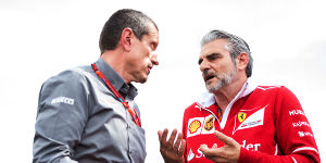 Foto zur News: Charles Leclerc und Haas: Keine Anfrage von Ferrari