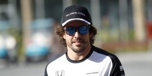 Foto zur News: Dennis deutet an: Alonso könnte 2016 aussetzen