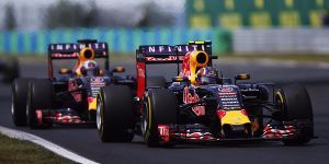 Foto zur News: Red Bull: Ricciardo und Kwjat kämpfen um ihre Zukunft