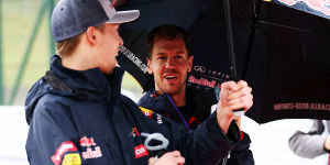 Foto zur News: Trotz Schimpftiraden: Vettel bemitleidet degradierten Kwjat