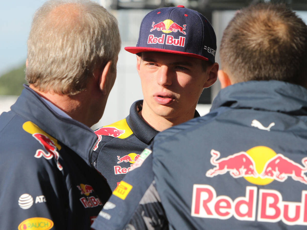 Foto zur News: Helmut Marko: Max Verstappen muss Ricciardo nicht schlagen