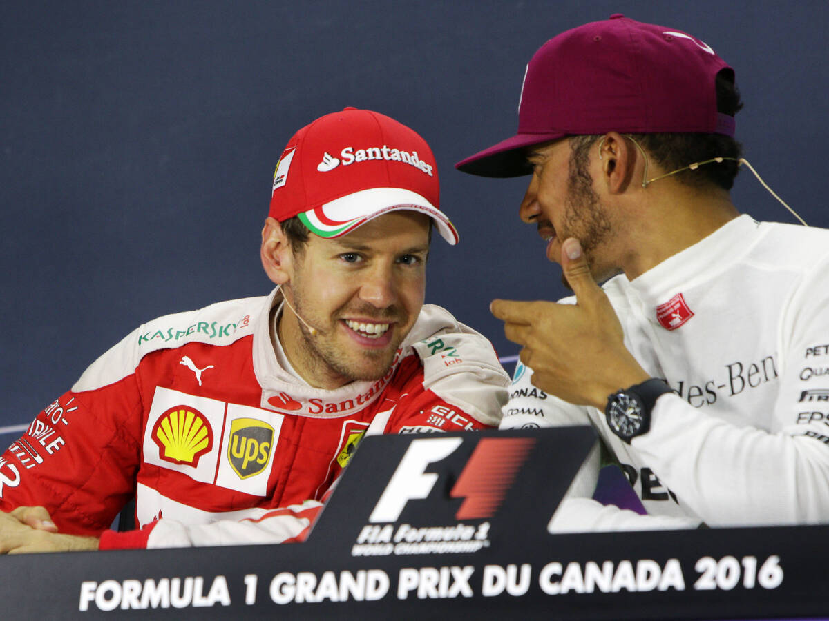 Foto zur News: Vettel #AND# Hamilton: "Streit" wegen Selbstmord-Möwen