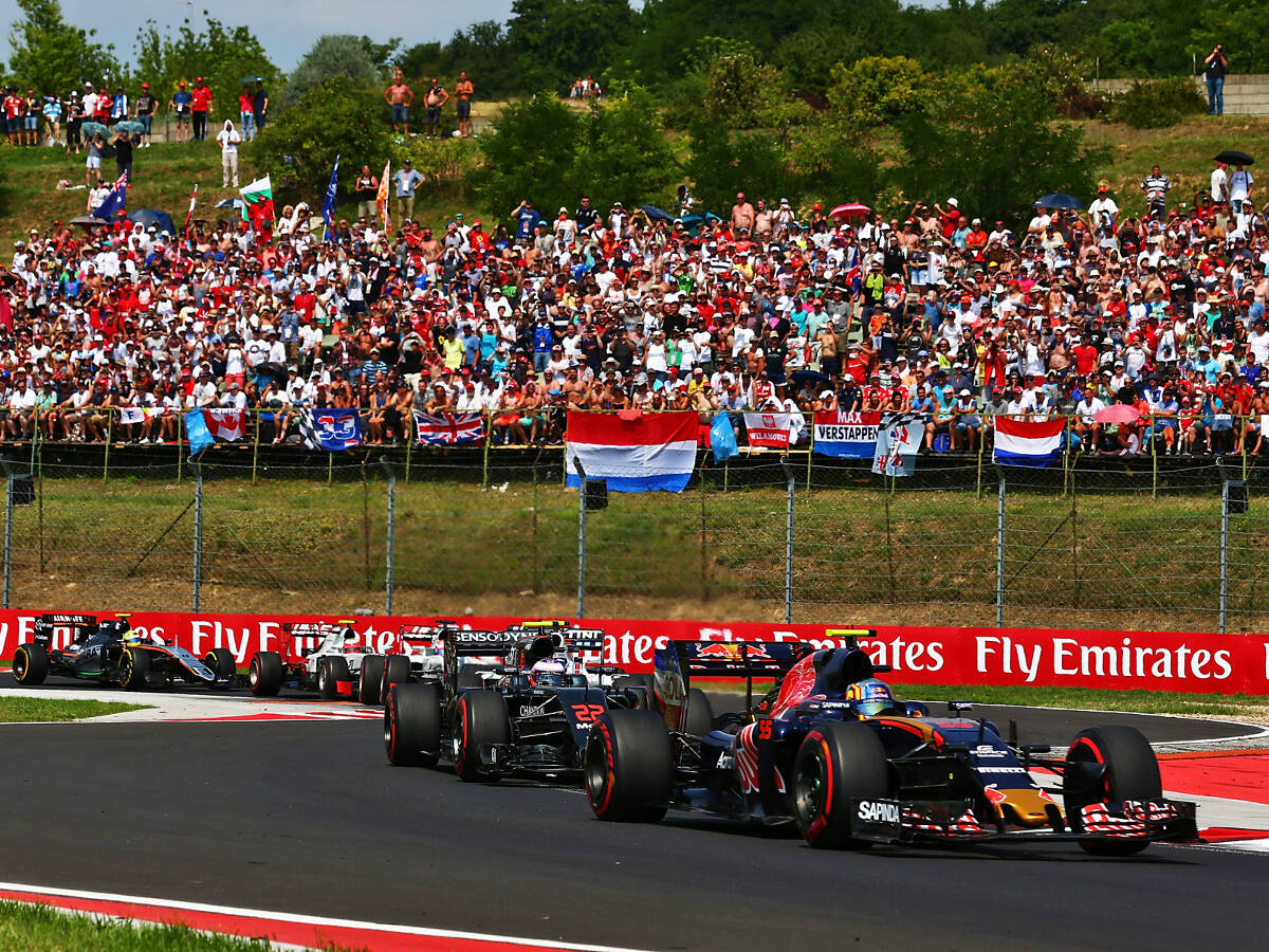 Foto zur News: Update bei Toro Rosso: Carlos Sainz hofft auf "großen Schub"