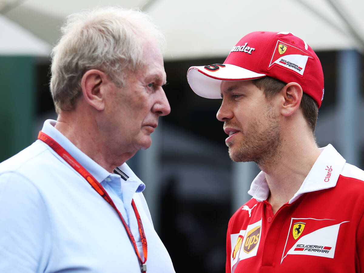 Foto zur News: Marko: Sebastian Vettel braucht die Karotte vor der Nase