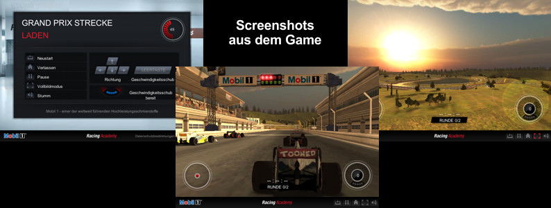 Formel 1 Game 2013