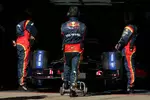 Foto zur News: Toro Rosso