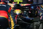 Foto zur News: Jaime Alguersuari (Toro Rosso)