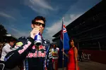 Gallerie: Mark Webber (Red Bull)