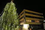 Foto zur News: Der Ferrari-Weihnachtsbaum vor der Fabrik