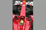 Foto zur News: Felipe Massa (Ferrari)