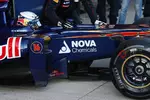 Foto zur News: Daniel Ricciardo (Toro Rosso)