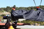 Foto zur News: Daniel Ricciardo (Toro Rosso)