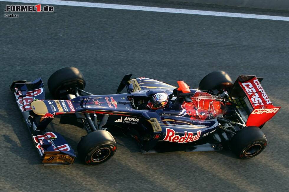 Foto zur News: Daniel Ricciardo (Toro Rosso)