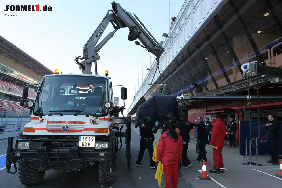 Foto zur News: Daniel Ricciardo (Toro Rosso)