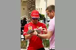 Foto zur News: Fernando Alonso (Ferrari)