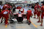 Gallerie: Fernando Alonso (Ferrari)
